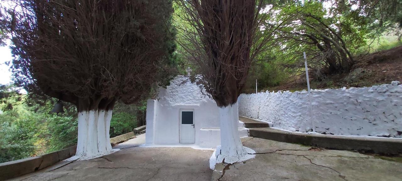 Traditional House In Asfendiou Agios Dimitrios  Exterior foto